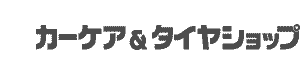 company name